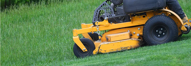 How to Start a Lawn Care Business: A Complete Guide